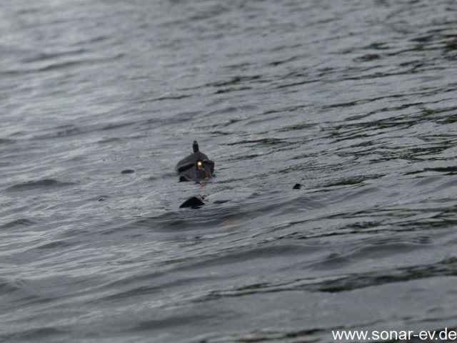 Koeln2014_1 (32)